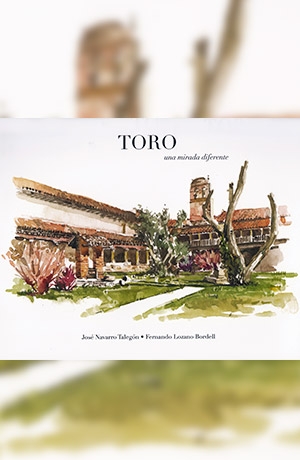 Toro: una mirada diferente